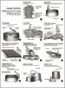 Jiangji Distillery - The 11 Step Process of Making Baijiu Infographic
